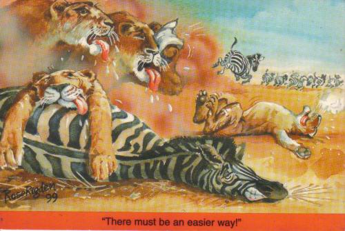 http://s3.amazonaws.com/static2.postcrossing.com/postcard/medium/a4f75d477598093574a531b840b7f492.jpg