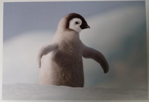 PostCrossing Sent to Spain - Esther Neela Blog