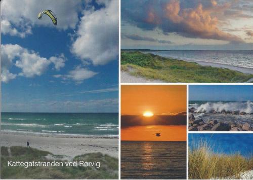 PostCrossing Received from Denmark - Esther Neela Blog