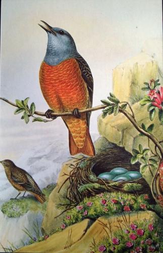 PostCrossing Sent to Slovenia - Esther Neela
