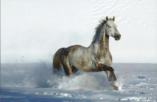 [Obrazek: f02b02c268107a9fe90346ae82574b80.jpg]