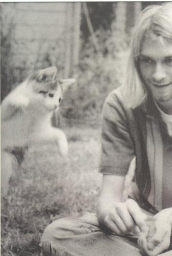 kurt cobain thesis kurt cobain thesis