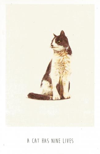 PostCrossing Received from Netherlands - Esther Neela