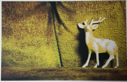 PostCrossing Sent to Russia - Esther Neela Blog