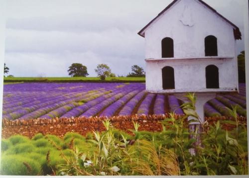 PostCrossing Sent to Russia - Esther Neela