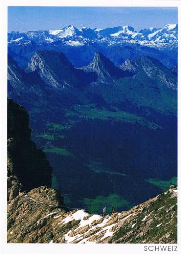 [Obrazek: ffb027f99f801c3fc35df68af8dc8859.jpg]