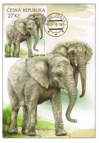 postcard image of CZ-1600472