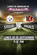 -NFL19- Pittsburgh Steelers vs Cincinnati Bengals