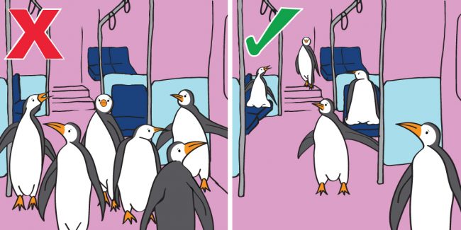 PENGUINS-650x325.jpg