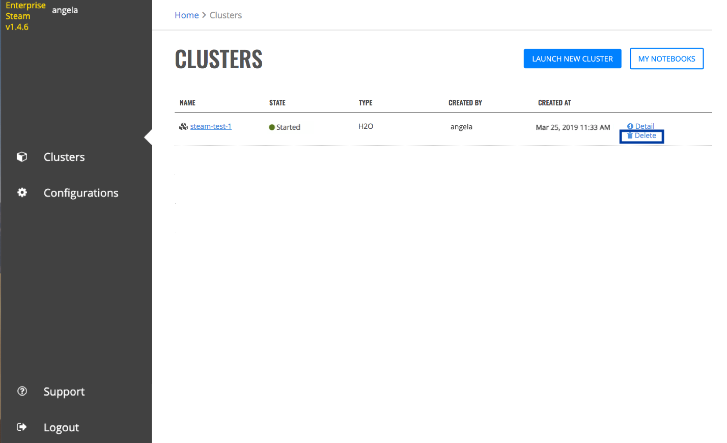 Delete clusters