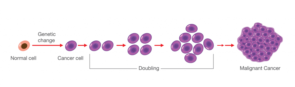 cancer treatment immunotherapy