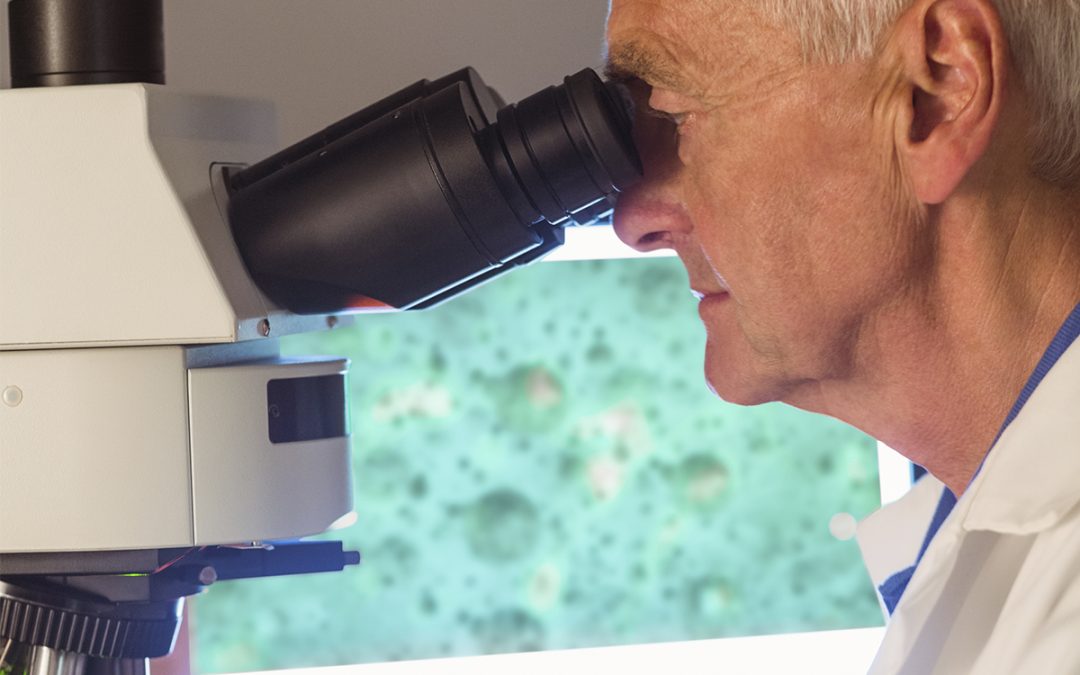 Stem Cell Transplant News: Cancer Research