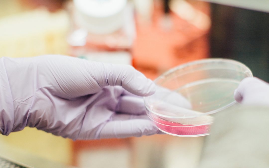 Understanding Cancer Stem Cells