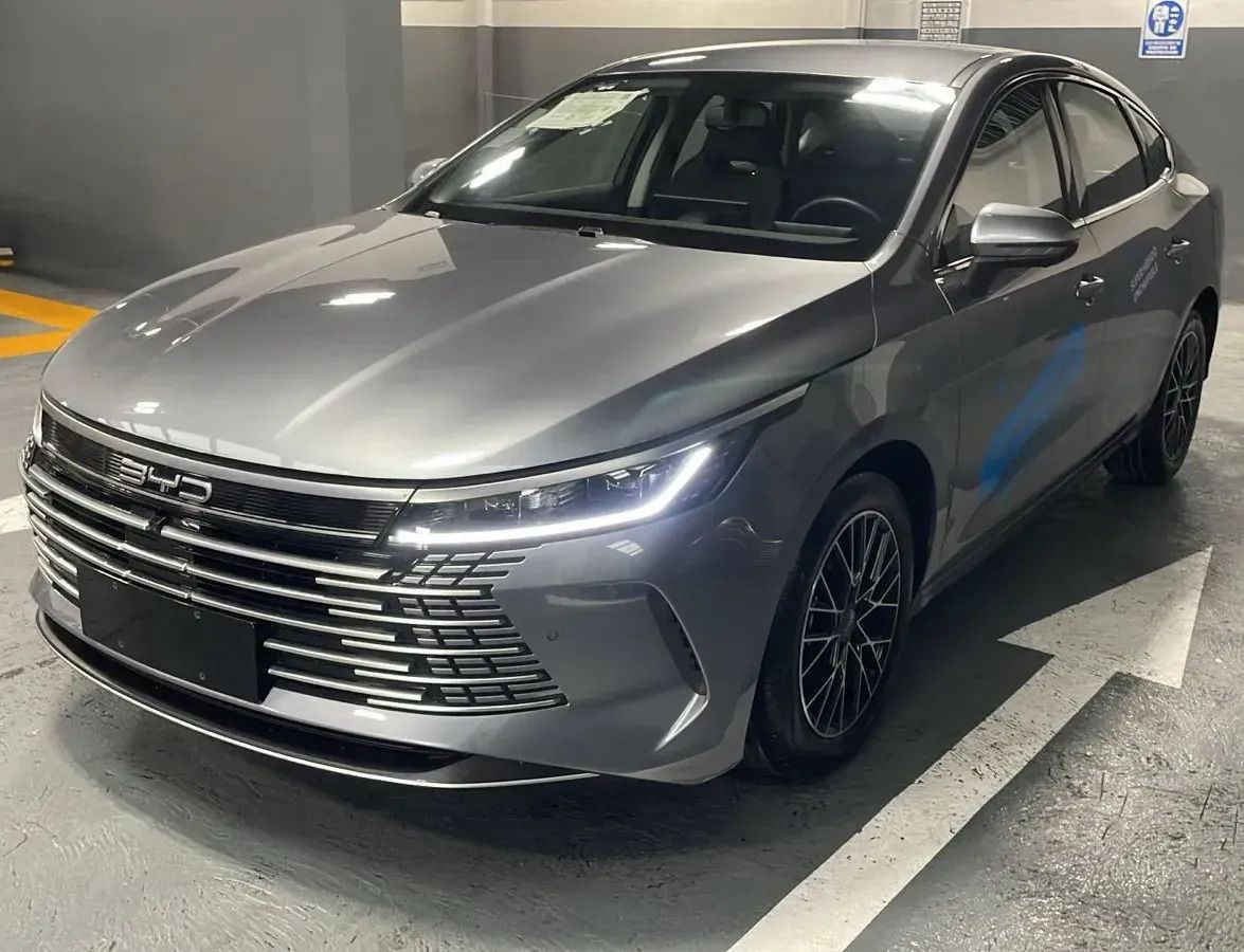 BYD KING 2026