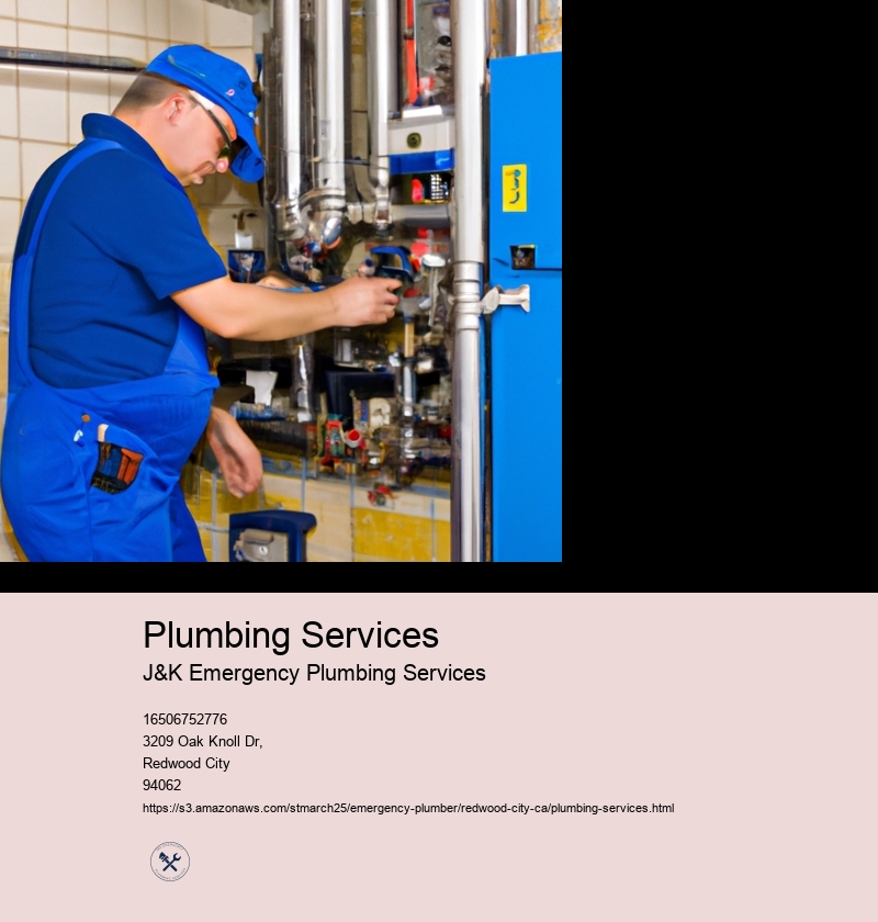 Plumbing Services