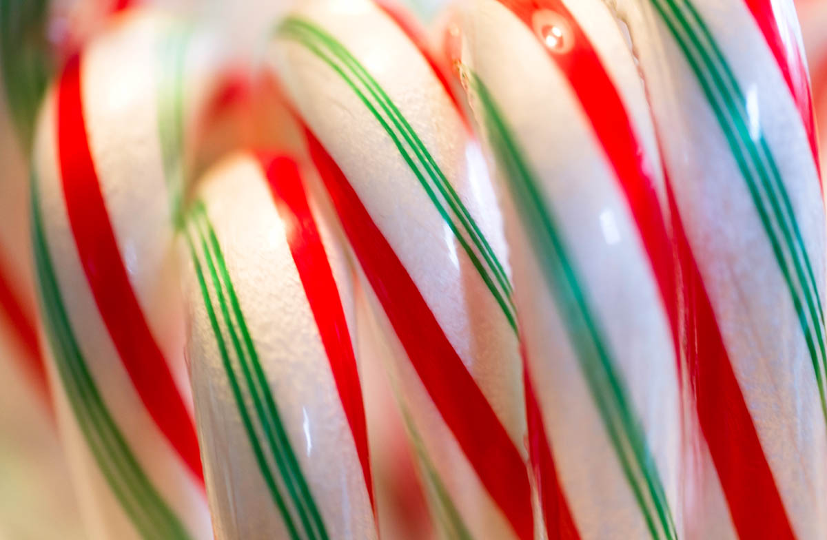 Closeup of fresh candy canes StockFreedom Premium Stock Photography
