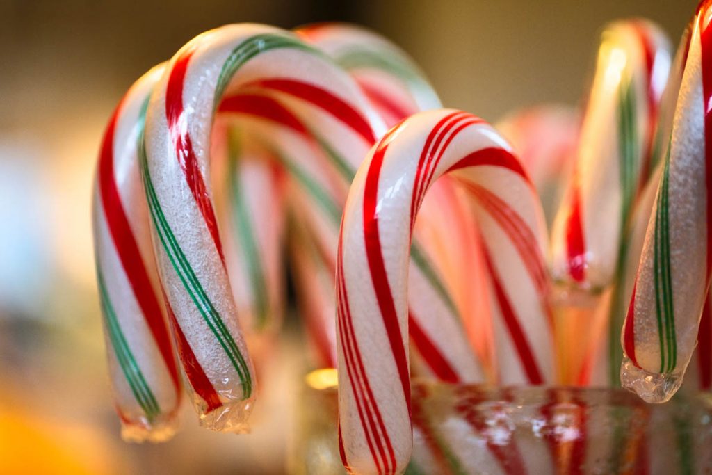 Closeup of multi colored candy canes StockFreedom Premium Stock