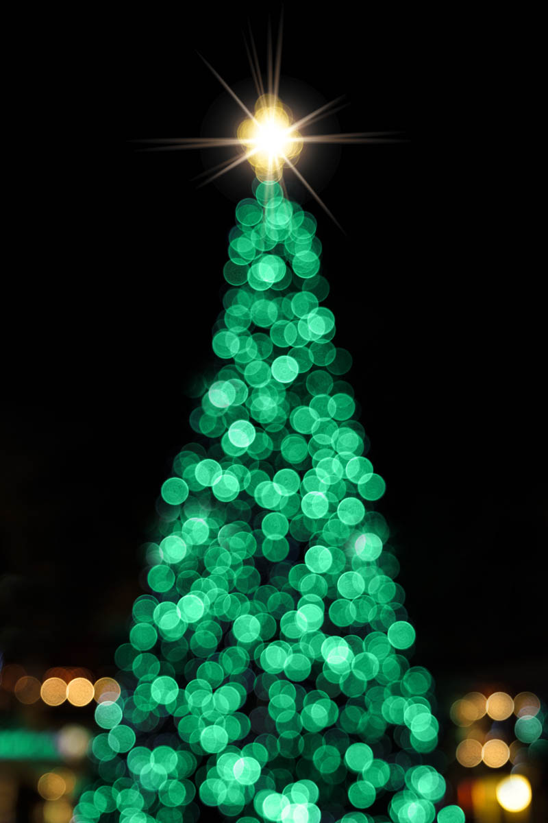 Defocused Christmas tree at night StockFreedom Premium Stock