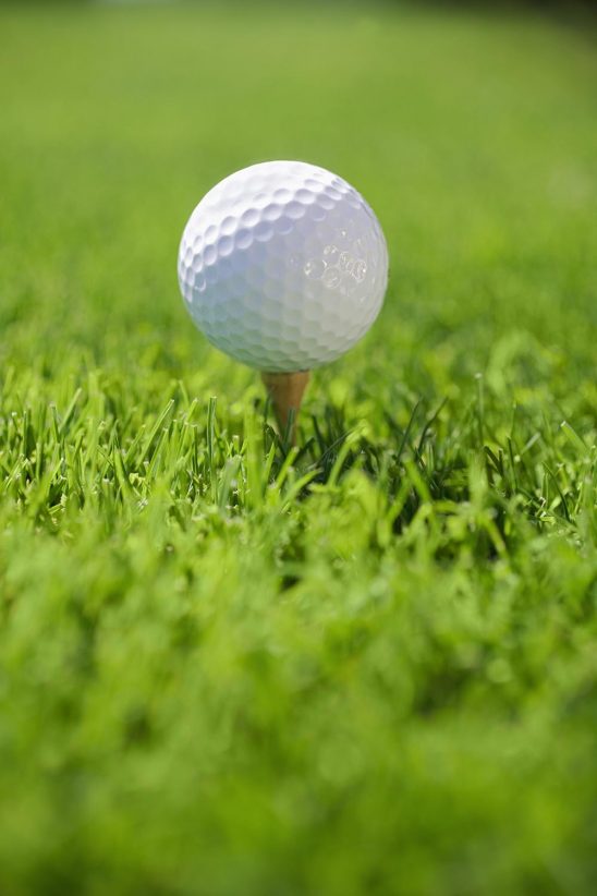 Golf Ball on tee in grass StockFreedom Premium Stock Photography