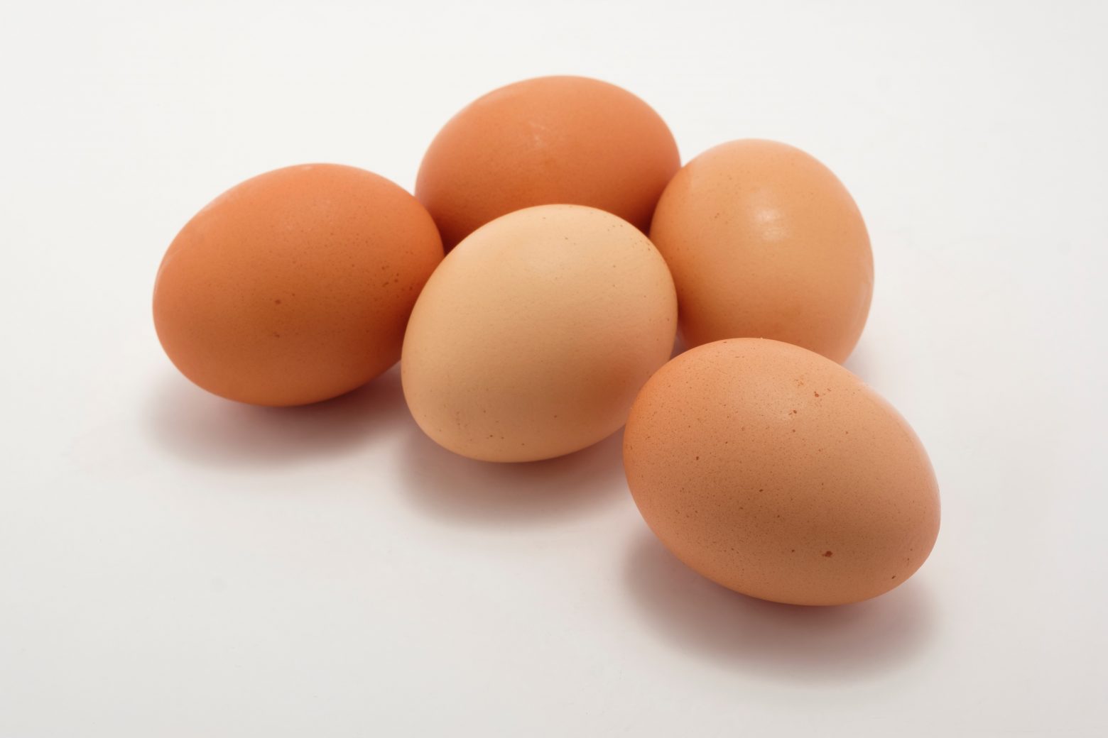 Hard boiled brown eggs on a plate StockFreedom Premium Stock Photography