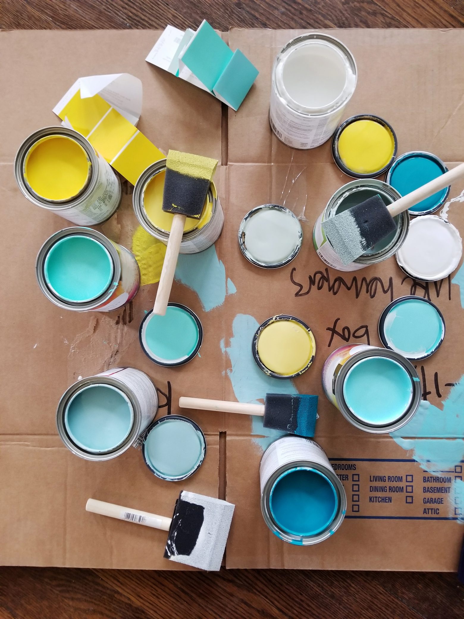 Open paint cans trying out paint colors StockFreedom Premium Stock