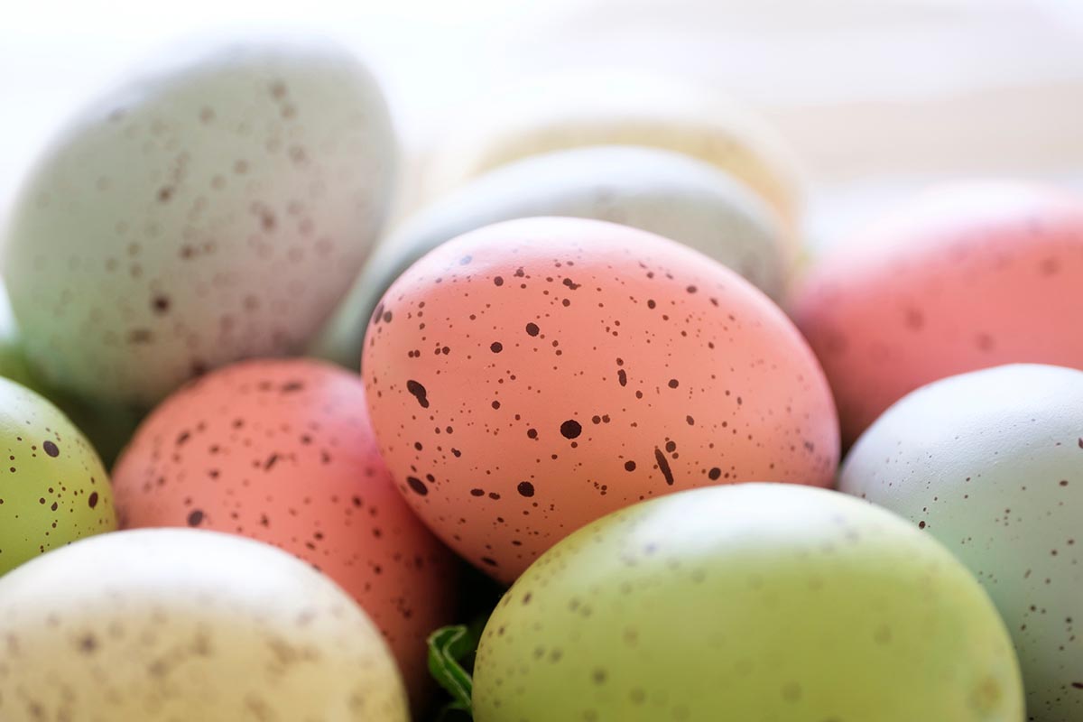 A group of pastel colored Easter eggs StockFreedom Premium Stock Photography