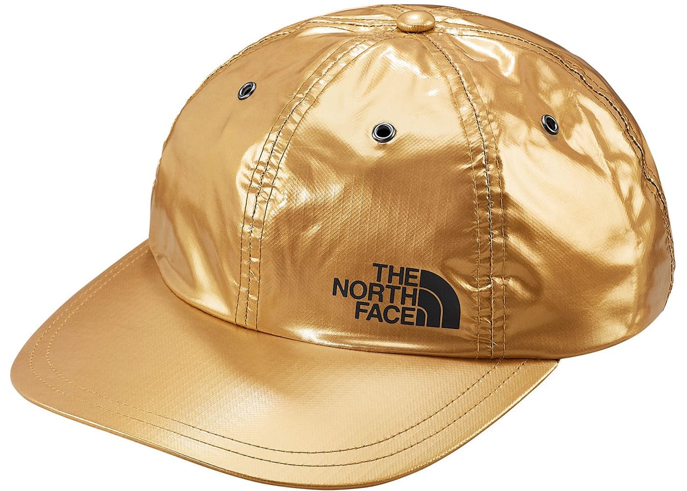 supreme the north face metallic