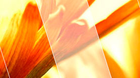 360 jQuery Image Slider