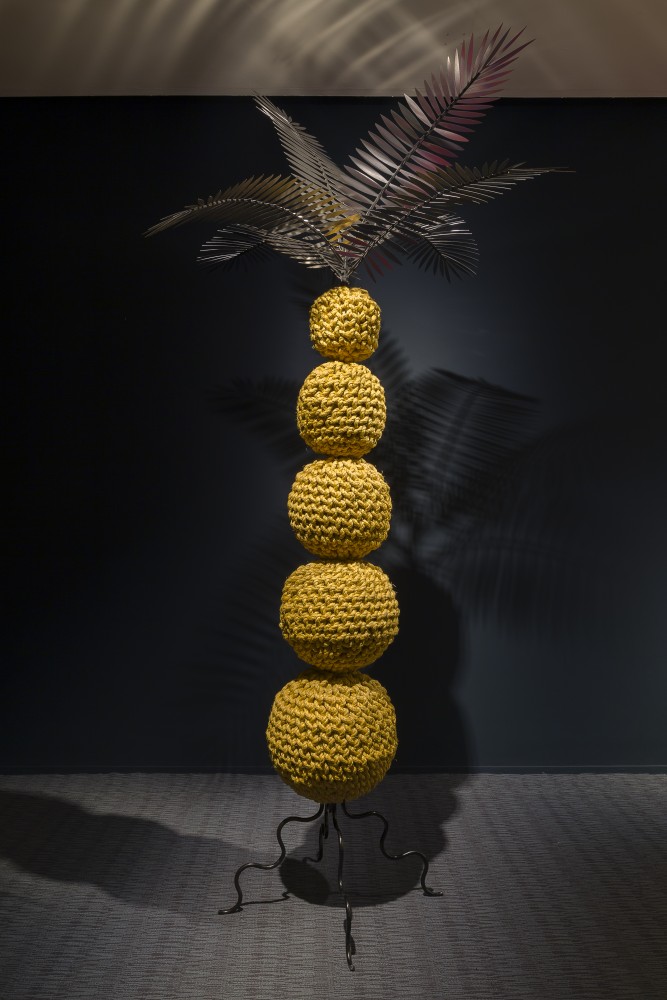 Coconut Groove