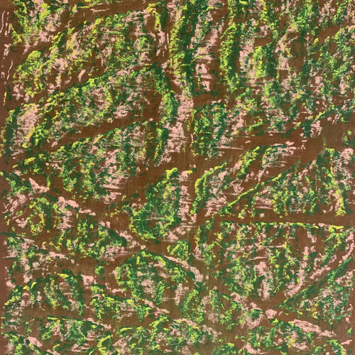 Galería Grasa