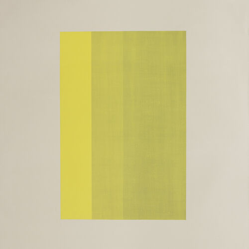 Crudo Arte Contemporáneo