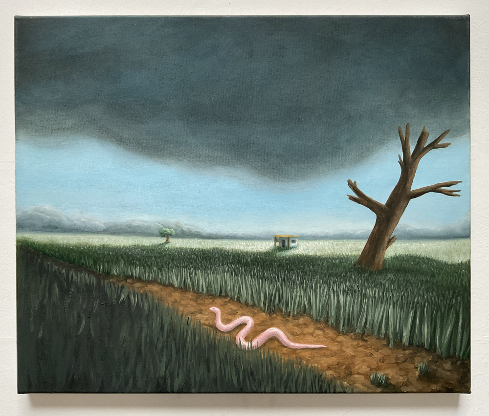 Serpiente en el camino