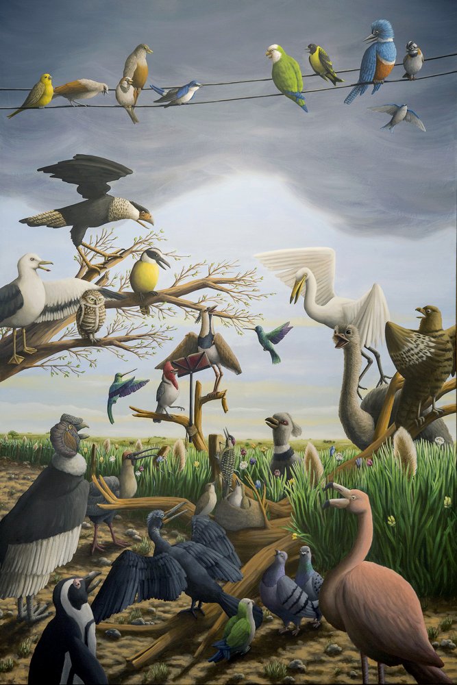 Concierto nacional de aves Nro 9