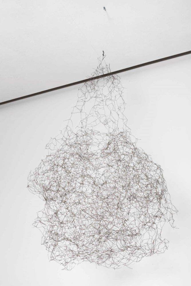 Gota