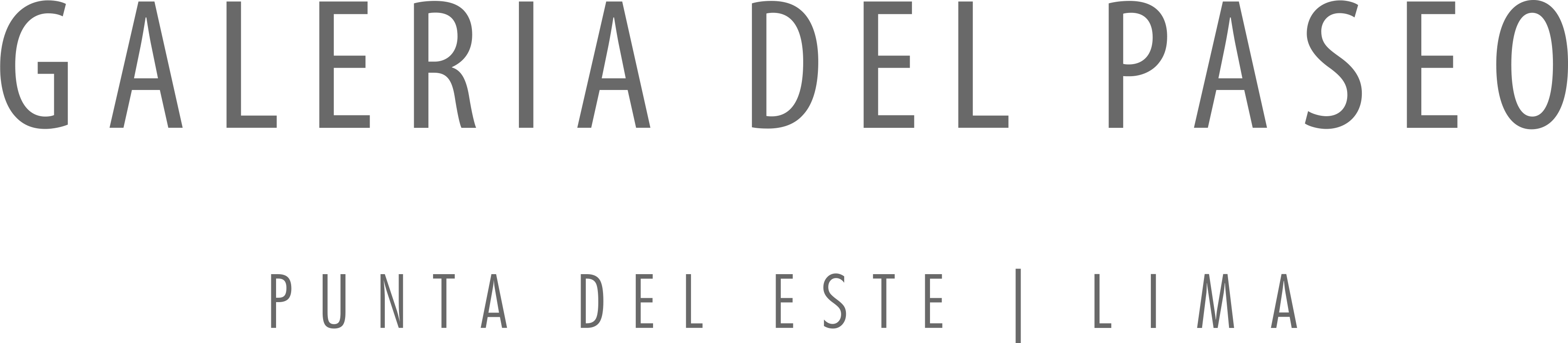 Galería del Paseo