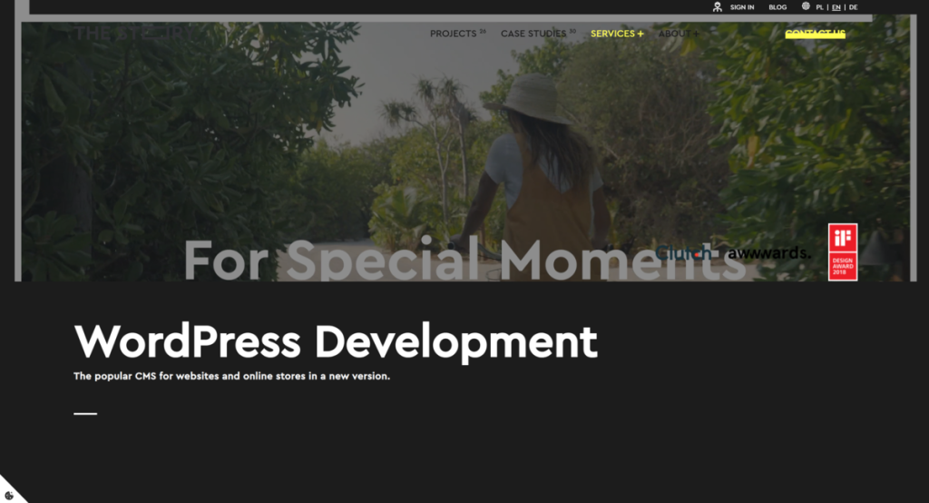 The Story Web Design