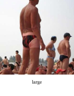 New Publication (24)