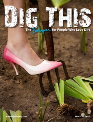 New Publication (28)