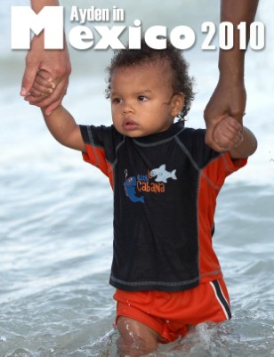 New Publication (51)