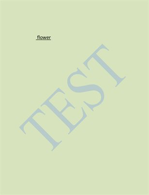 New Publication (241)