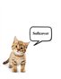 Personal PayPal Test
