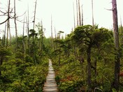 Green-haven
