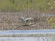 Perfect Landing