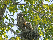 Mom and Baby