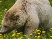 Smelling some flowers