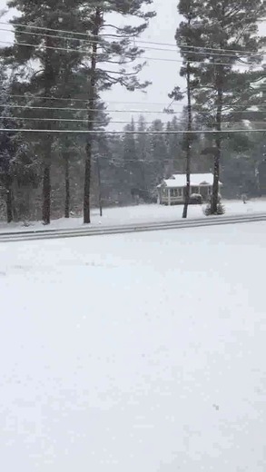 Community - Snow Storm in Berlin NH