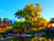 Community - Albuquerque Botanical garden