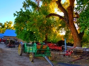 Community - Albuquerque Botanical garden