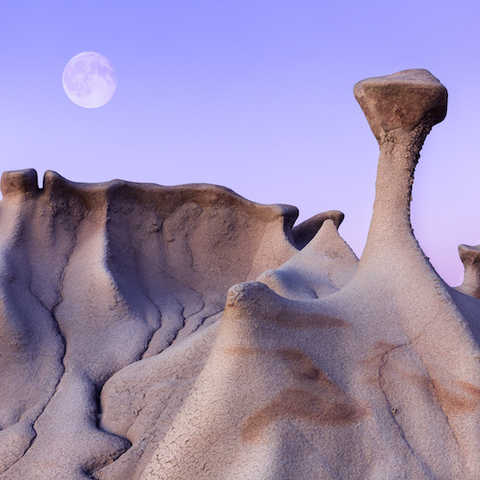 Bisti Wilderness Area