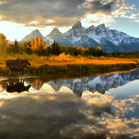 Grand Teton National Park